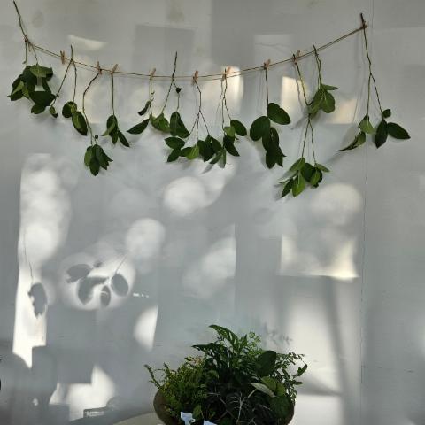 KakaoTalk_20250908_081455783_08