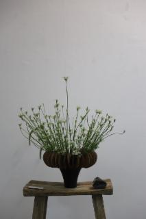 KakaoTalk_20250908_081455783_11