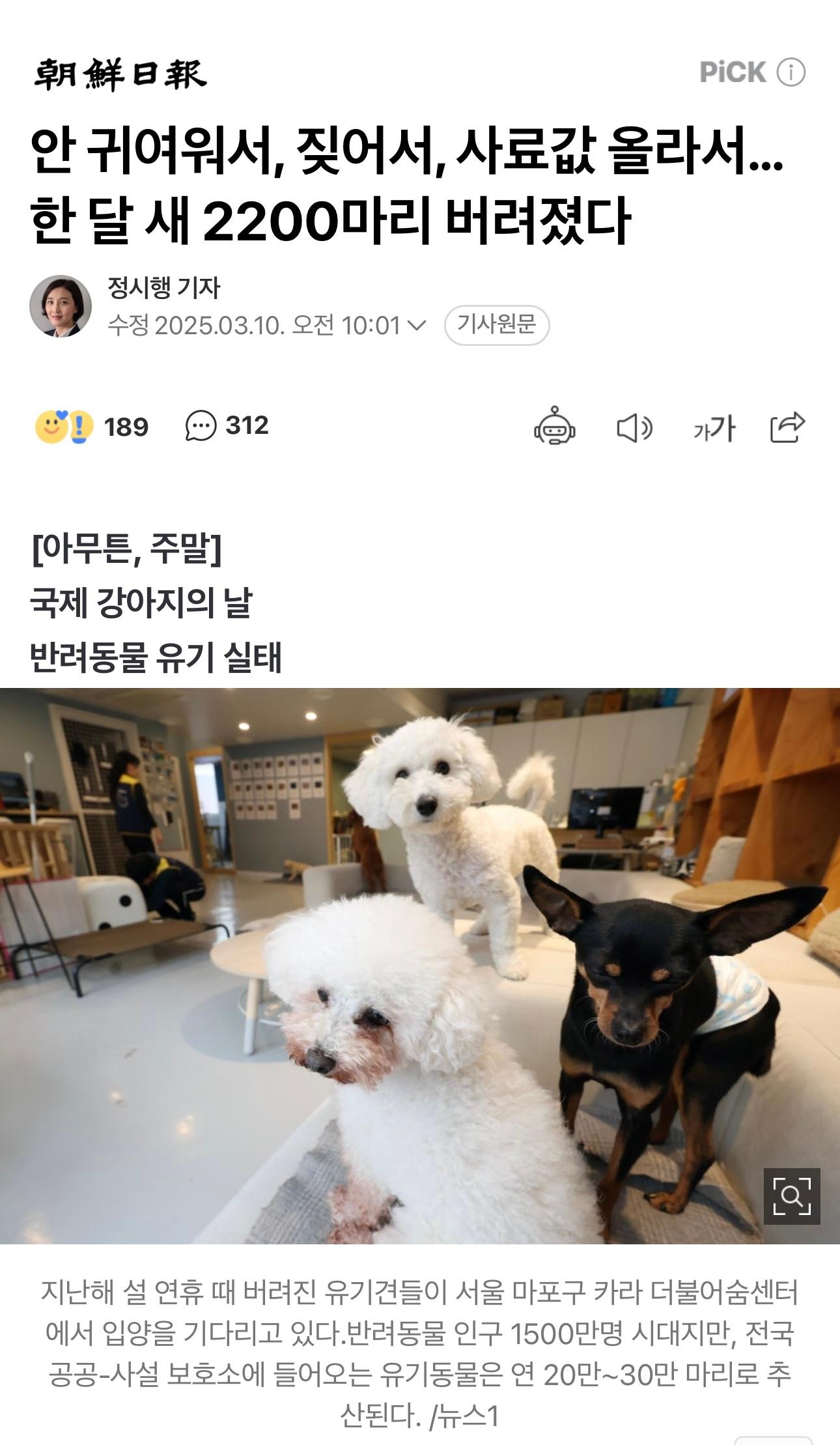 lost animal's exhibition