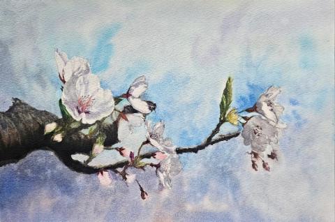 지원작가의 대표작품