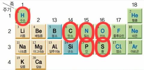 생명을 이루는 필수 원소
