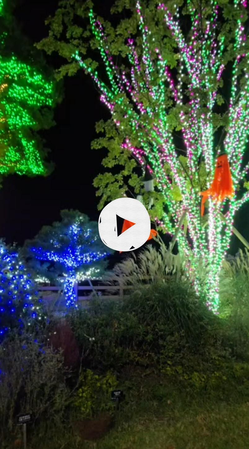 특별한 하루 in 용인