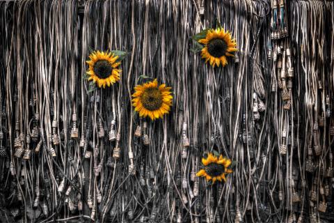 윤현도_Begin Again #4 Get over 