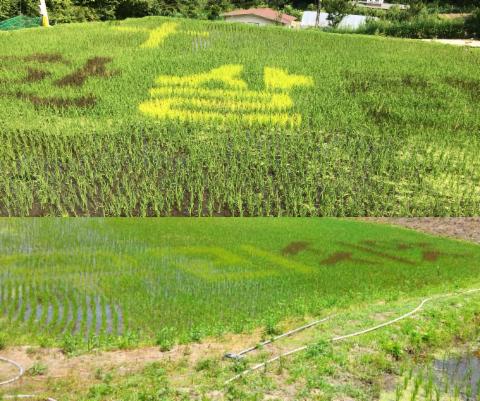 한살림우리씨앗농장작가의 대표작품