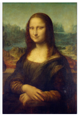 가벼운 깃털의 전시회