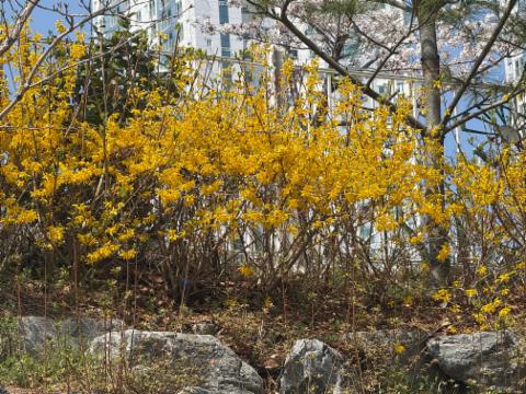 KakaoTalk_20260407_162810779_01