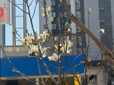 KakaoTalk_20260407_162810779_02