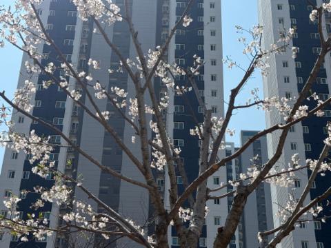 KakaoTalk_20260407_162810779_03