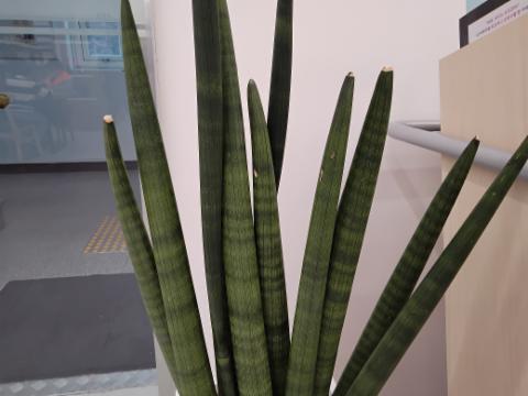 IMG_20260405_143450_540