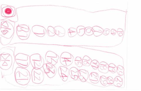 순성초등학교 김태환