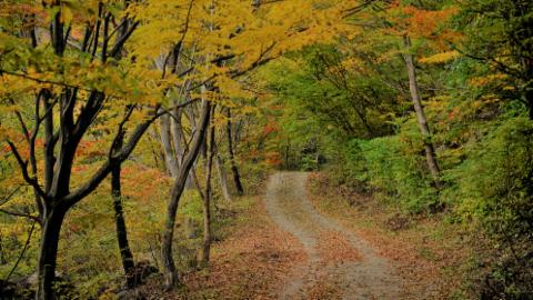 지리산 가을 풍경