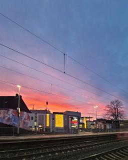 '어둠과 빛 사이. 첫 숩'