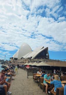 '시드니의 선율'