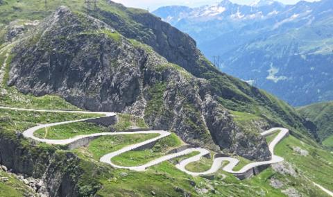 '지그재그 인생길'