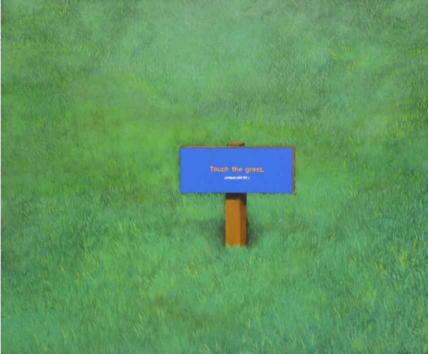 Touch the grass